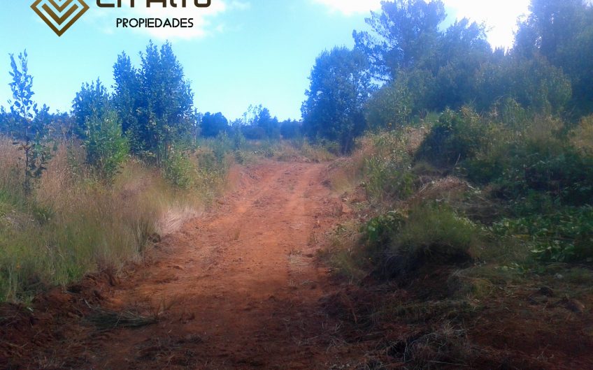 Terrenos sector Popoen /  X Los Lagos