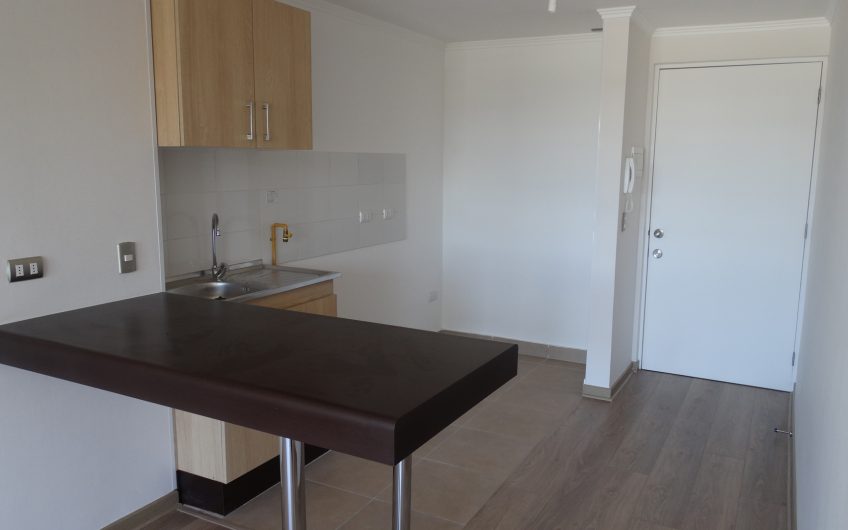 DEPARTAMENTO LUIS DURAND/TEMUCO