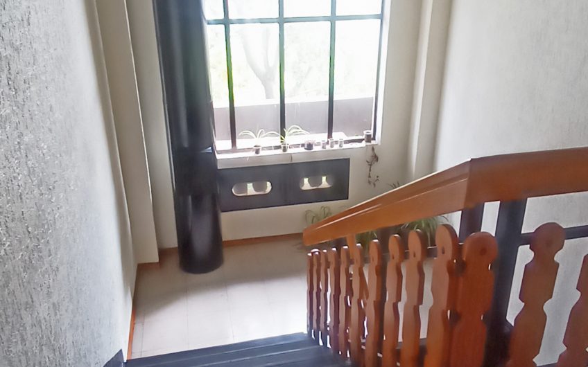 DEPARTAMENTO  / PADRE LAS CASAS ABEDULES II