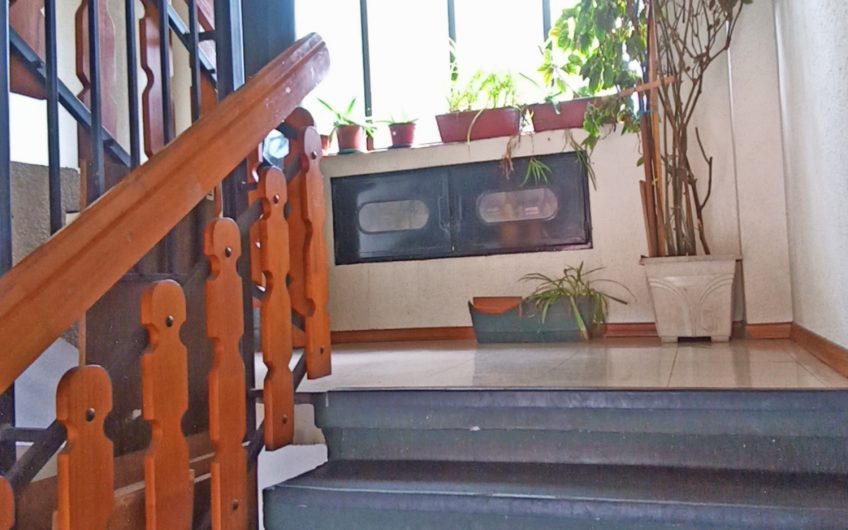 DEPARTAMENTO  / PADRE LAS CASAS ABEDULES II