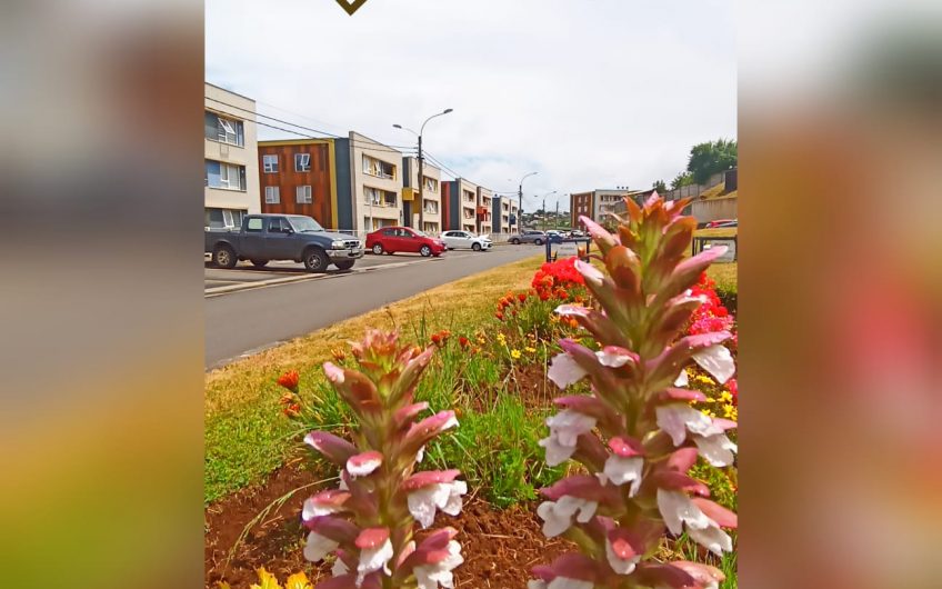 DEPARTAMENTO LOMAS DE JAVIERA- JAVIERA CARRERA SECTOR INACAP